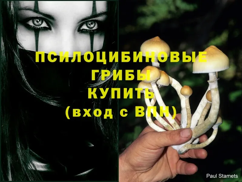 Галлюциногенные грибы Magic Shrooms  Катайск 